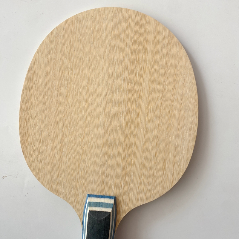Raket Tenis Meja Lemuria VIS S - Desk Setup Tips ulasan dan harga