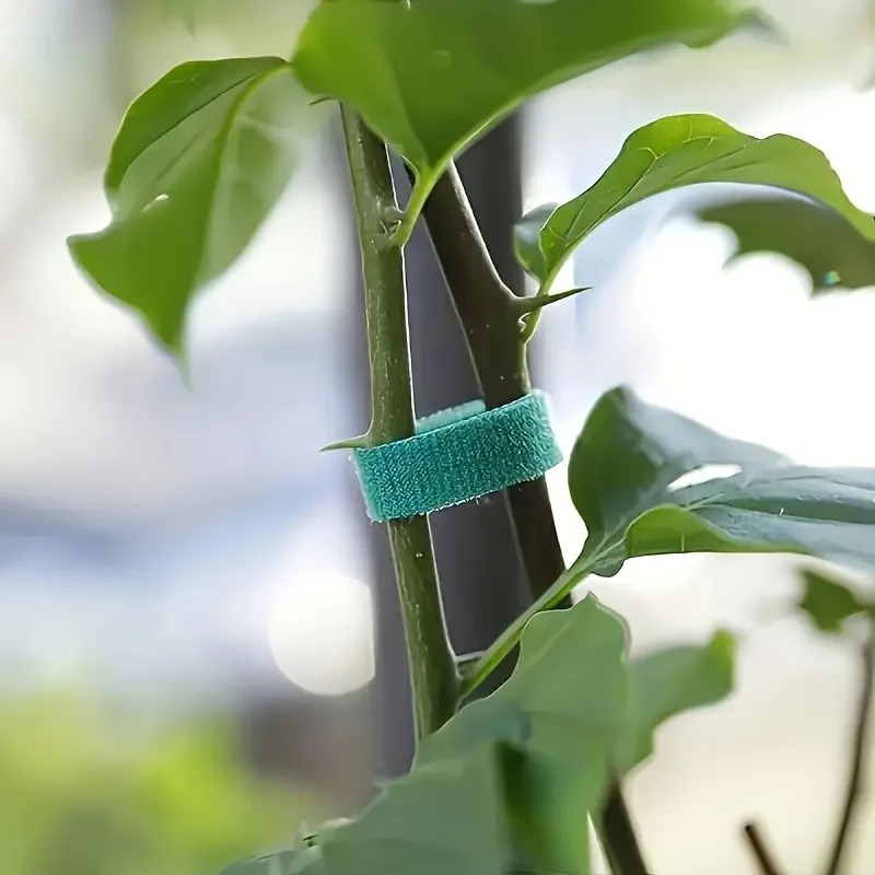 Tali Pengikat Velcro Tanaman H - Cable Velcro Strap ulasan dan harga